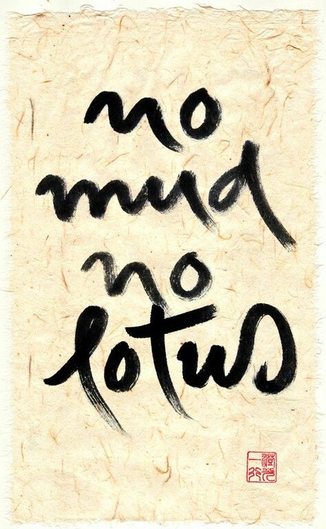 no mud no lotus2